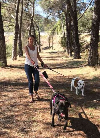 Janey, Bella & Millie enjoying a break and a little walk at a favourite picnic spot in Andalucía, on their journey from Alhaurín el Grande in S.Spain to nr Canterbury in the UK.